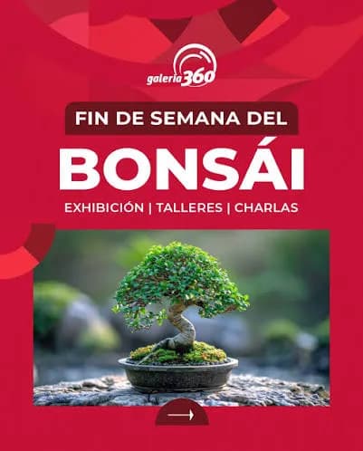 Talleres Bonsai